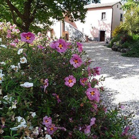 Laporcilaia Lejlighed