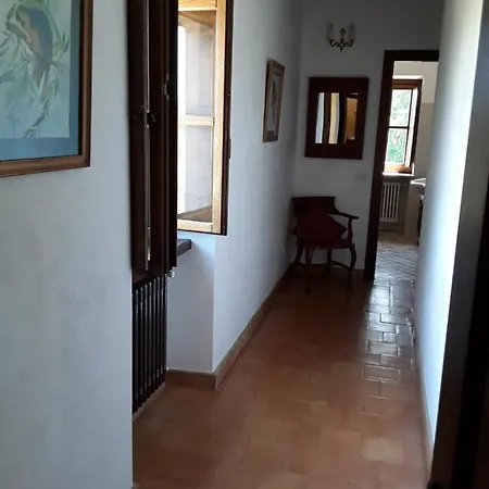 Laporcilaia