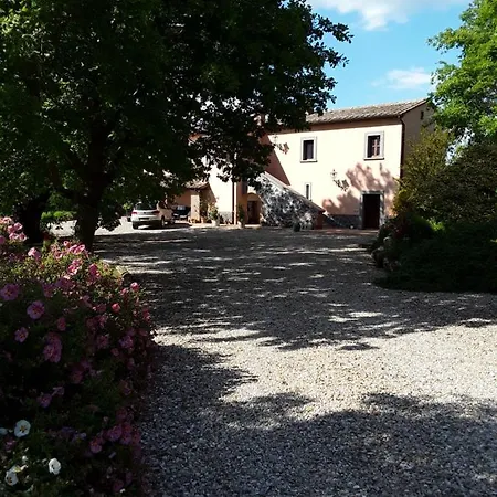 Laporcilaia Bagnoregio
