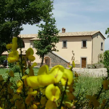 Laporcilaia Bagnoregio