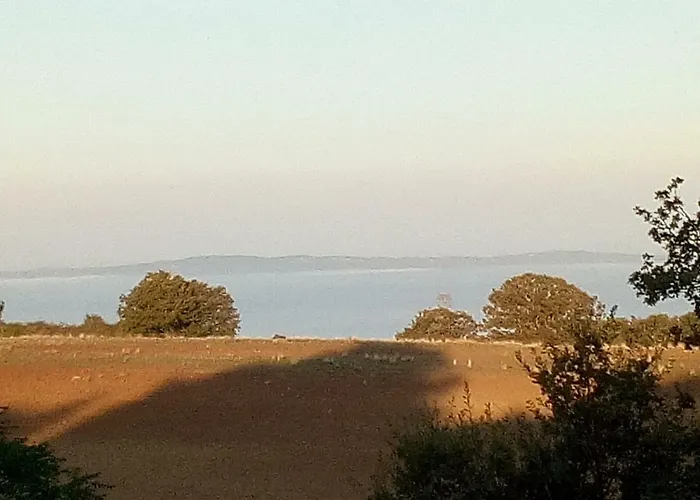 Laporcilaia *