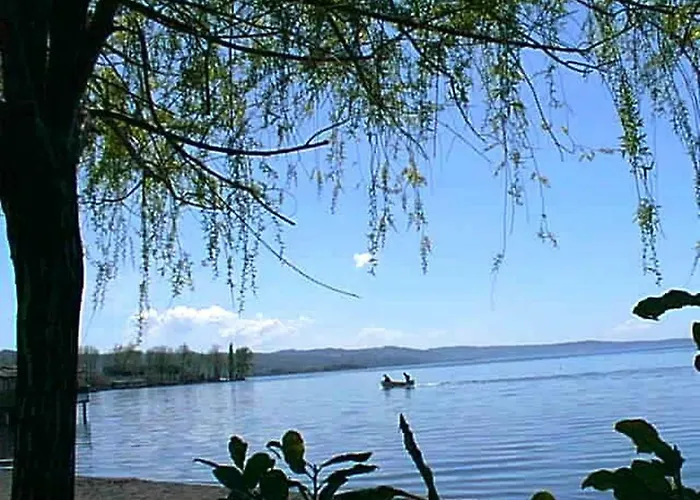 Laporcilaia *